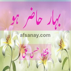 Bahar Hazir Ho Cover Photo