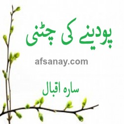 Podiney Ki Chatni Cover Photo